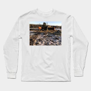 Scottish Highland Cattle Cows and Cat 2253 Long Sleeve T-Shirt